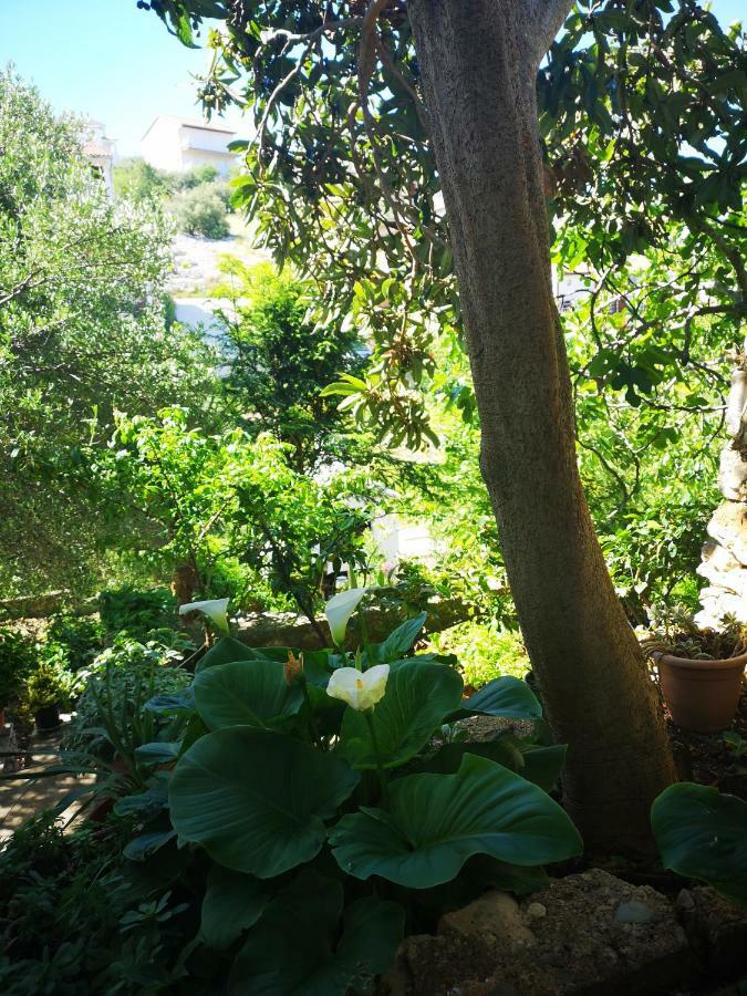 Apartman Sissy Primošten Eksteriør bilde